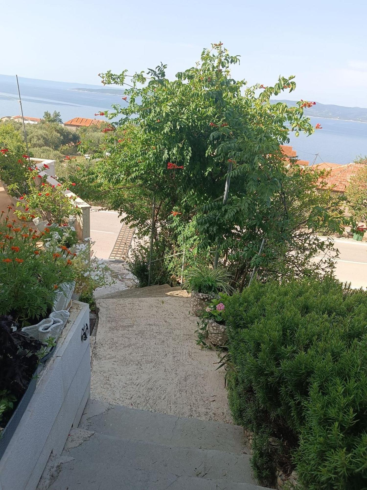 Apartment Ante Brela Εξωτερικό φωτογραφία
