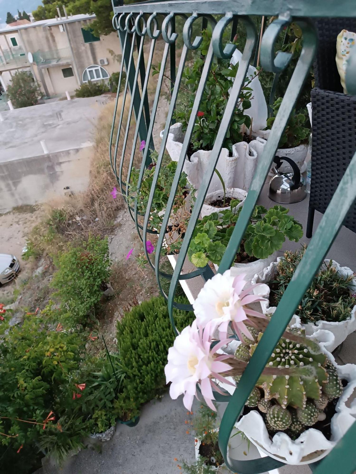 Apartment Ante Brela Εξωτερικό φωτογραφία
